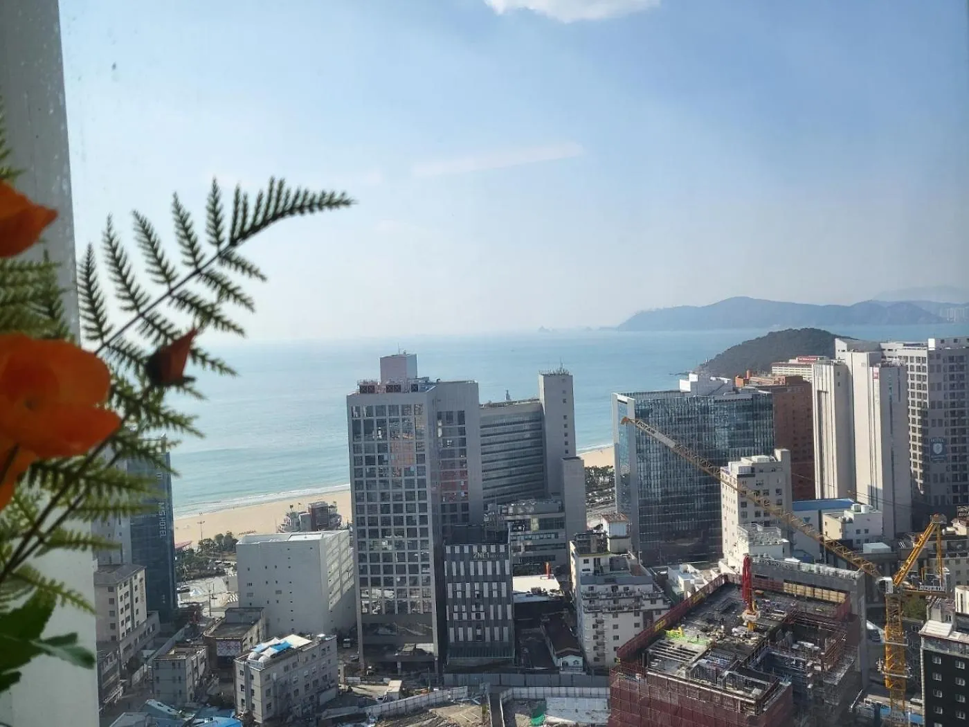 Aparthotel Elbon The Stay Haeundae Beach Ocean View Busan South Korea